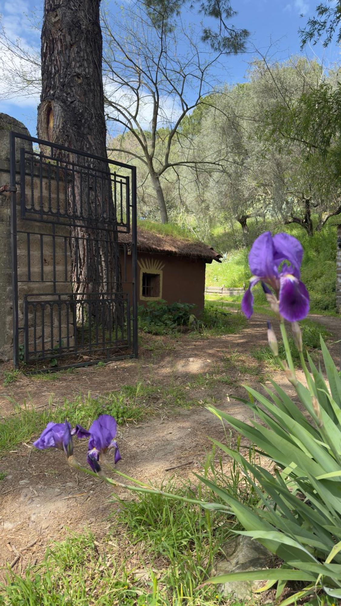 Villa La Casa Del Grillo à Viterbe Extérieur photo