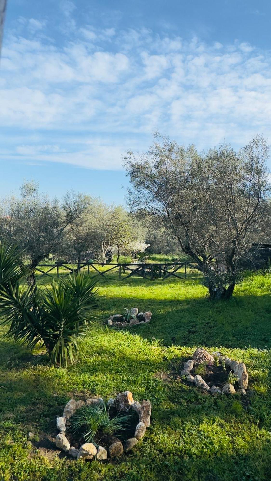 Villa La Casa Del Grillo à Viterbe Extérieur photo